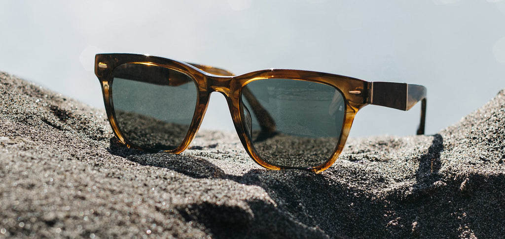 Ankeny Acetate Sunglasses