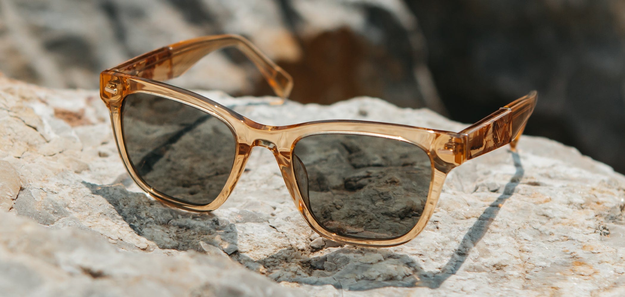Ankeny Acetate Sunglasses