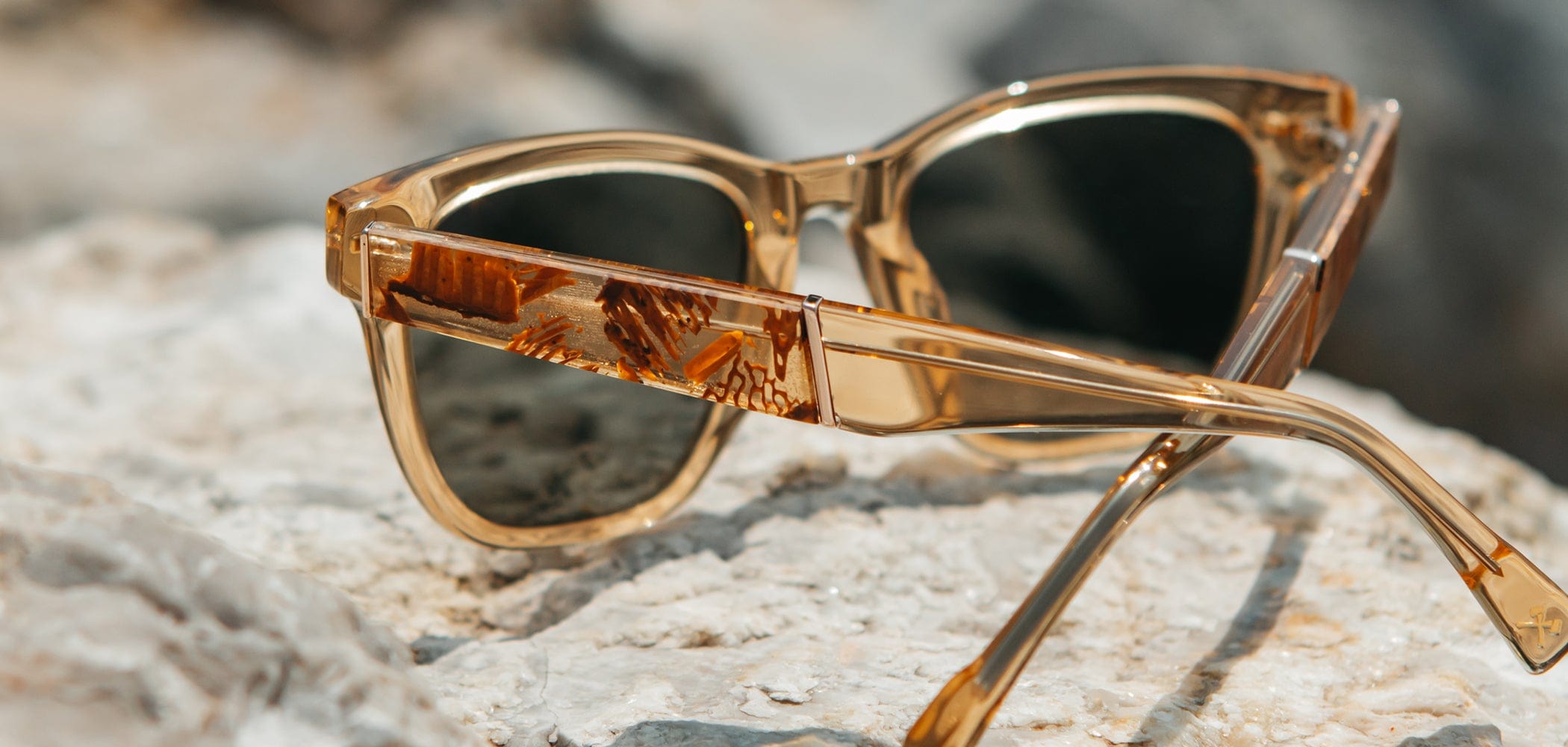 Ankeny Acetate Sunglasses