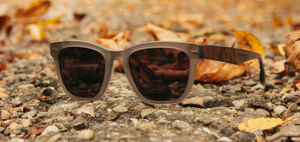 Ankeny Acetate Sunglasses